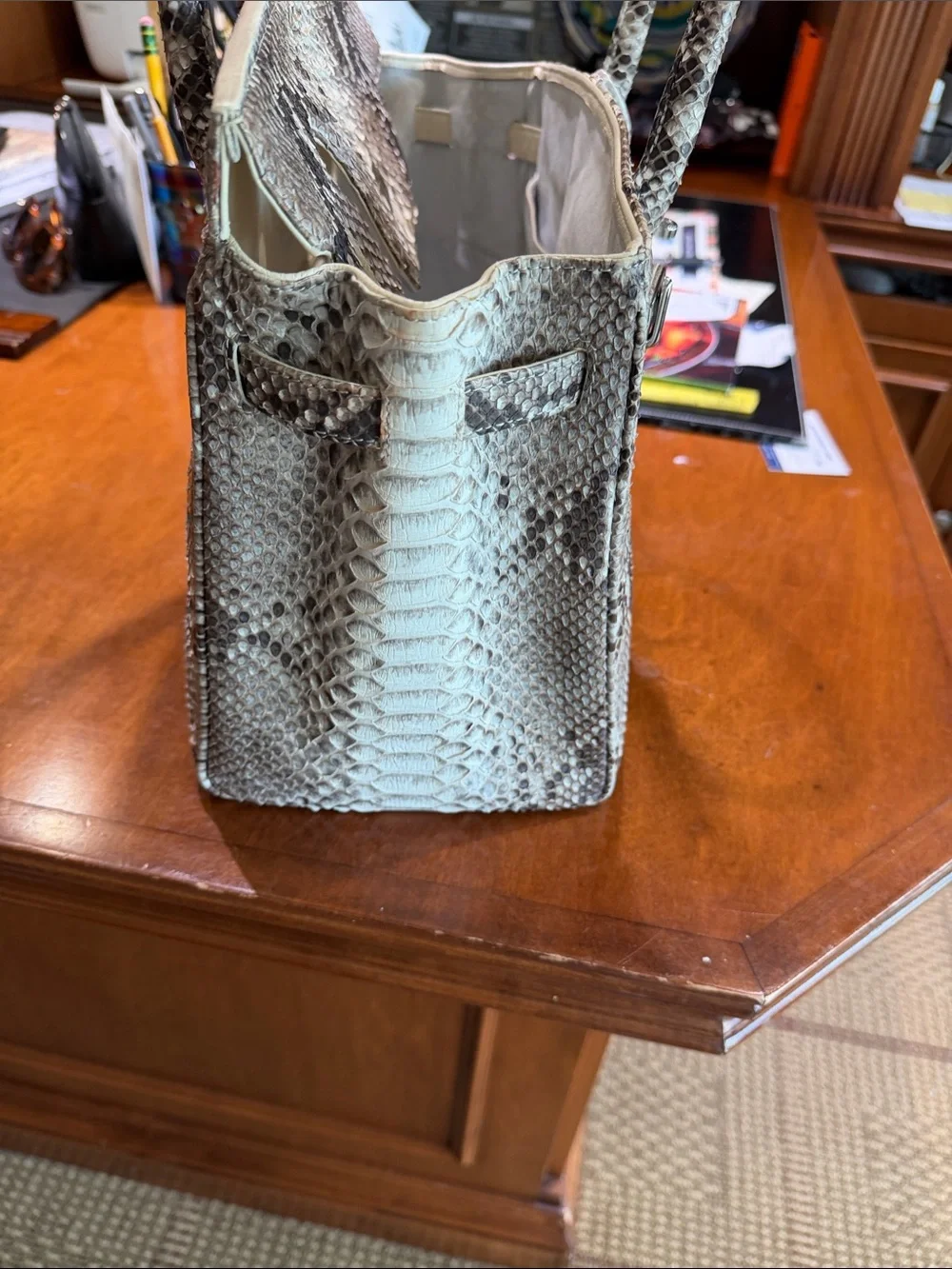 Structured Genuine Python Skin  Satchel in Gray and Cream
